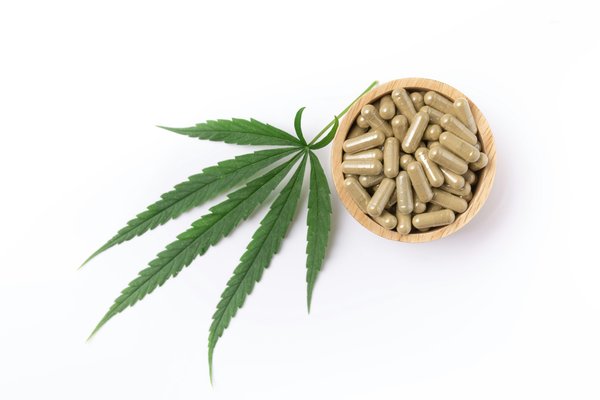 CBD dans le sang : durée de présence et facteurs influençant